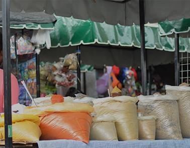 Mercados Municipais em Bom Jesus da Lapa