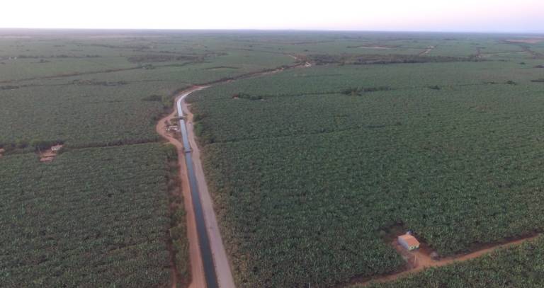 Projeto de Irrigação em Bom Jesus da Lapa