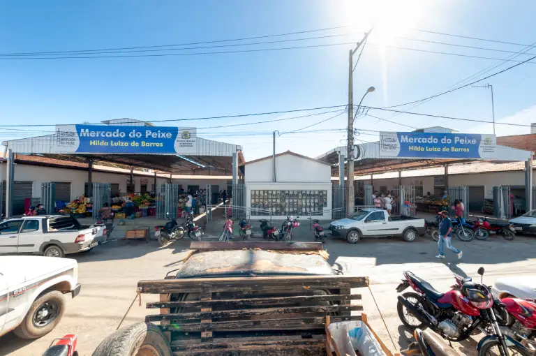 Mercado do Peixe em Bom Jesus da Lapa