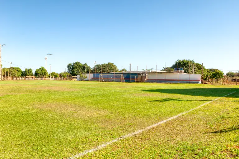 CFA Braunão 3 braunao 24