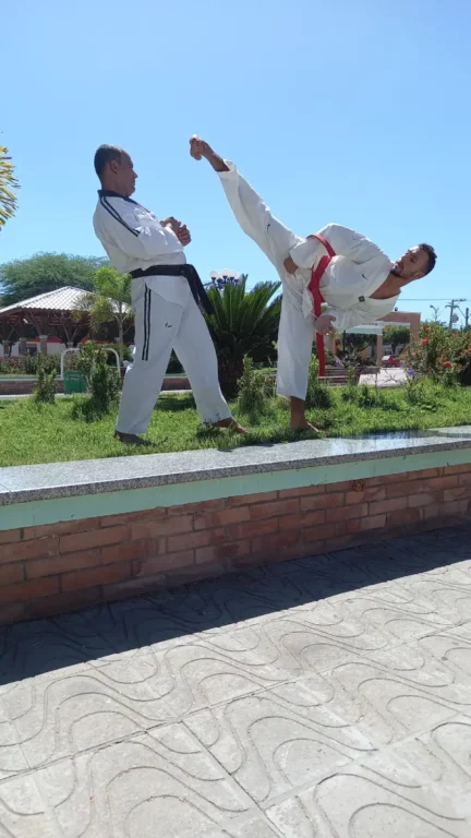 Space Taekwondo 3 space taekwondo lapa